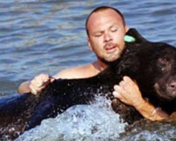 Brave Man Saves Drowning 400-lb Black Bear – Possibly One Of THE Greatest Rescue Stories Ever!
