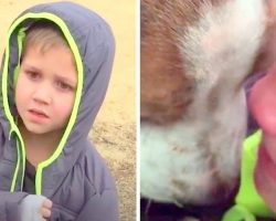 Little Boy’s Dog Has Been Missing For A Month, When Mom Calls Her Son Over