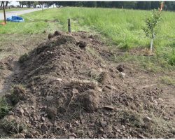 Heroic Police Officers Save Tiny Puppy Buried 6-Inches Beneath A Mound Of Dirt