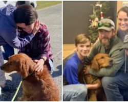 Family reunite with lost dog who was rescued from storm drain, call it a ‘Christmas miracle’