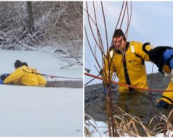 Firefighters Brave Freezing Cold Water To Rescue Dog Trapped In Frozen Pond