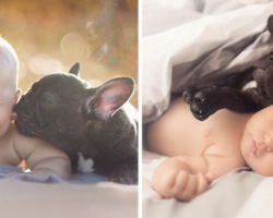 Baby And French Bulldog Born On The Same Day See Themselves As Brothers