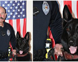 K9 Police Dog Hailed As Hero For Bringing Missing 2-Year-Old Boy Home Safe And Sound