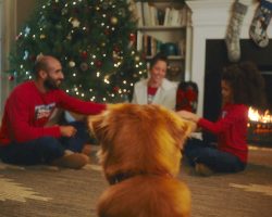 A Special Christmas Morning For A Man And His Dog