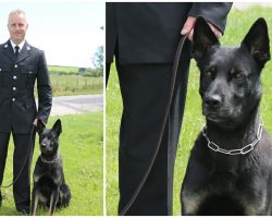 Police K9 Tracks Down Missing Mother And Baby On His First Day On The Job