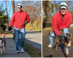 Shelter Volunteer Walks 50 Dogs On His 50th Birthday To Raise Money For His Furry Friends