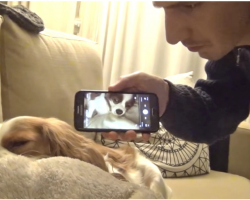 Comedian’s Hilarious Trick Stops His Dog From Snoring Instantly
