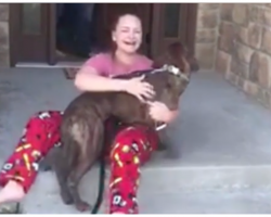 Christmas Puppy Surprise: Parents Secretly Adopt Dog Daughter Cared For At Shelter