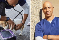 Veterinarian Goes Around California To Treat Homeless Animals For Free