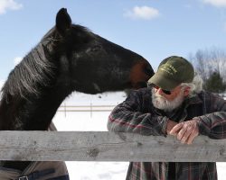 A 40-year-old retired racehorse and a 58-year-old man give each other a reason to live
