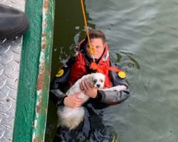 Man Saved From River After Jumping In To Save His Dog