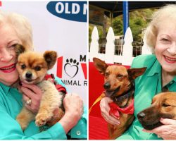 Animal Shelters See Huge Increase In Donations On Betty White’s Birthday, As Fans Donate In Honor Of Late TV Star