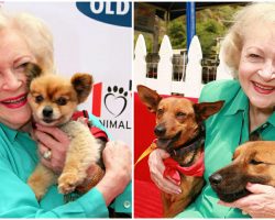 Fans Create ‘Betty White Challenge’ Pledging Donation To Shelters On Late Star’s 100th Birthday