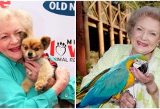Animal groups pay tribute to the late Betty White, honoring her legacy as champion for animals