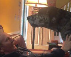 Great Dane’s Furious After Parents Inform Him Of A Change To His Dinner Plans