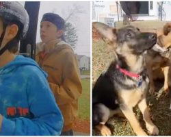 Heroic Boys Rescue Neighbors’ Dogs From House Fire