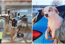Rescuers use sausage-dangling drone to lure missing dog to safety, save her from drowning
