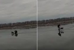 Brave Police Officer Throws Himself Onto Thin Ice To Save Dog Trapped In Frozen Lake