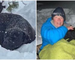 Lost Dog Buried In Five Feet Of Snow Gets Rescued & Reunites With Owner After Months Apart