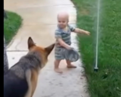 Toddler helps German Shepherd overcome his fear of the sprinkler