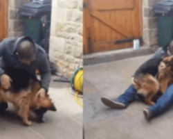 Dog Cries Out In Happiness And Collapses Into Dad’s Arms After Being Months Apart