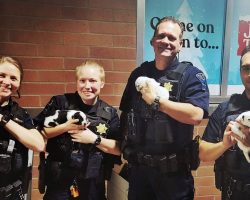 Puppies left in zipped-up bag get adopted by police officers who rescued them