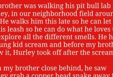 Pit Bull Runs Toward Screaming Kid And Ends Up Saving Child From Deadly Snake