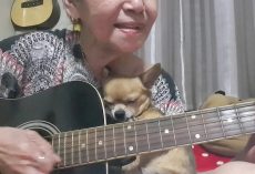 Woman Picks Up The Guitar To Serenade Her Dog, And He Cuddles Right Up