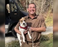 UPS Driver Finds Woman’s Missing Dog And Delivers Him Back Home