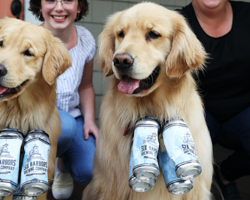 Pandemic Heroes: These Dogs Deliver Beer Directly to People’s Houses