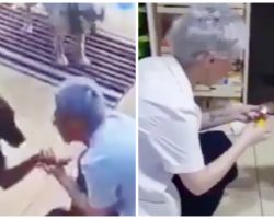 Stray Dog With Wounded Paw Limps Into Pharmacy & Asks For Help