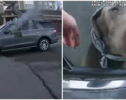 Deputy Saves Dog From Burning Car