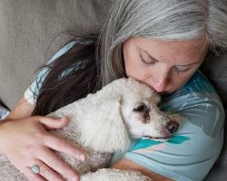 Woman turns her home into hospice for old shelter dogs so they don’t die alone