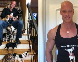 Bodybuilder used to make fun of tiny dogs until one saved his life — now he runs a Chihuahua sanctuary