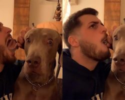 Dog Looks Visibly Petrified After Man Pretends To Eat His Ear