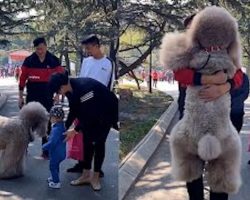 Humongous Fluffy Dog Always Wants To Be Carried By Dad