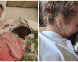 Family Takes Turns Sleeping On The Couch To Keep Their Old Dog Company