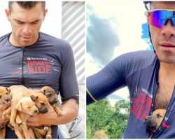 Cyclist Finds Abandoned Puppies Buried In Hole — Carries Them To Safety In His Shirt