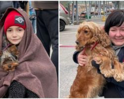 Man cares for animals at Ukraine border so refugees don’t have to give up their pets