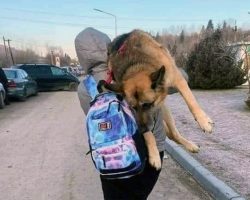 Family fleeing Ukraine refuses to leave elderly dog behind, carry her across the border