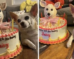 Mom Helps 15-Year-Old Dog Celebrate Her Birthday In Style