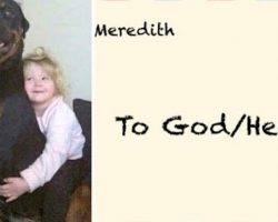 Little Girl Writes Letter To God Asking If Her Dog Arrived Safely To Heaven