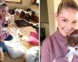 Katherine Heigl pushes for end of ‘barbaric’ use of gas chambers to euthanize shelter animals in Utah