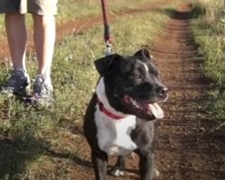 Dog Comes Home Wet Barking Frantically, Leads Family Over To The Dam