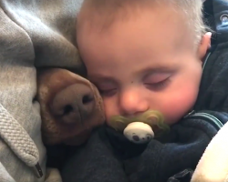 Mom Films Her Napping Baby And Catches The Dog’s Nose Poking Through Beside Him