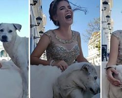 Stray dog sneaks into 15th birthday photoshoot and absolutely steals the show