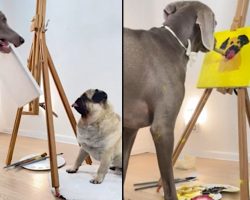 Artistic Dog Paints A Portrait Of Her Little Pug Friend