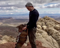 After 6 Months Of No Eye Contact, Dad Figures Out Adopted Dog’s True Passion