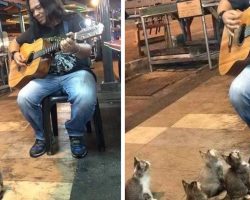 Street Musician’s About To Call It A Night When The Most Unlikely, Adorable Audience Shows Up