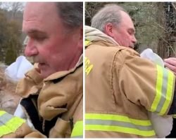 Family Loses Belongings & Pets In House Fire But Hero Offers Glimmer Of Hope
